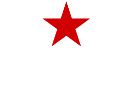 Heineken Silver